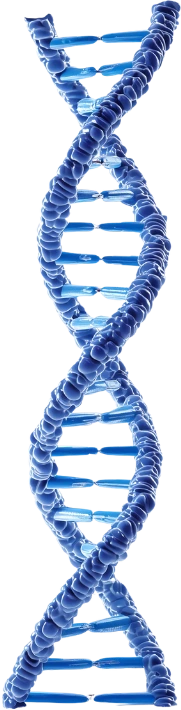 DNA